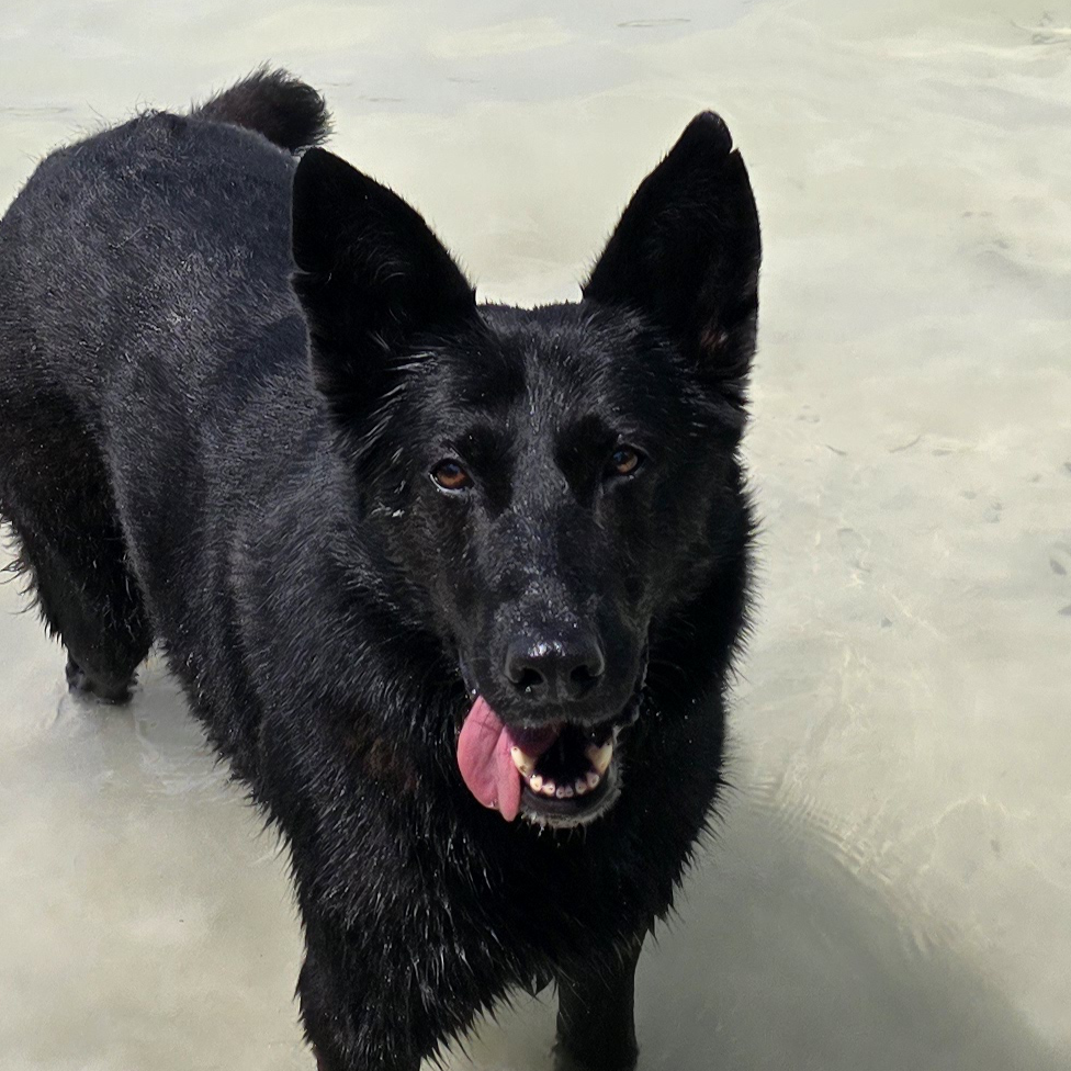 Experienced technicians