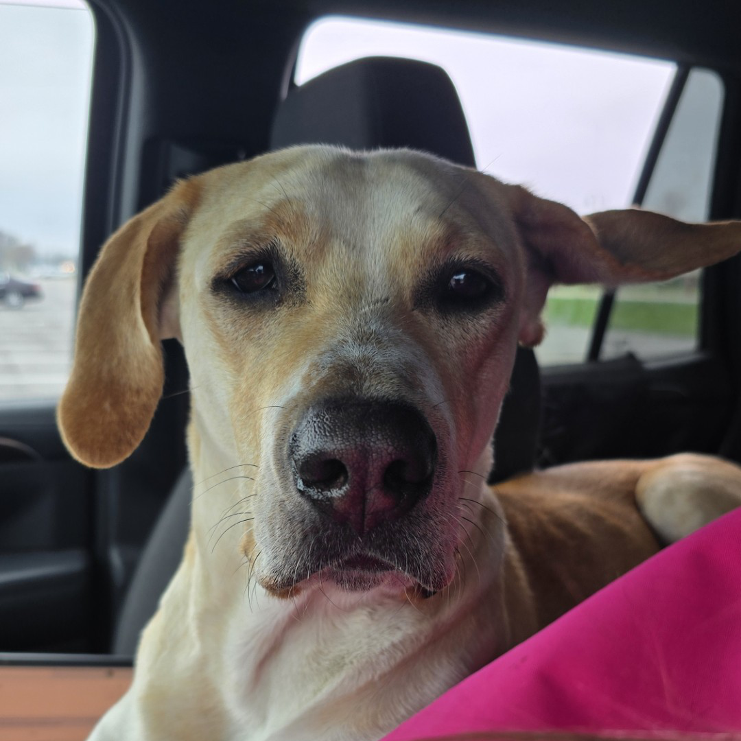 Convenient locations